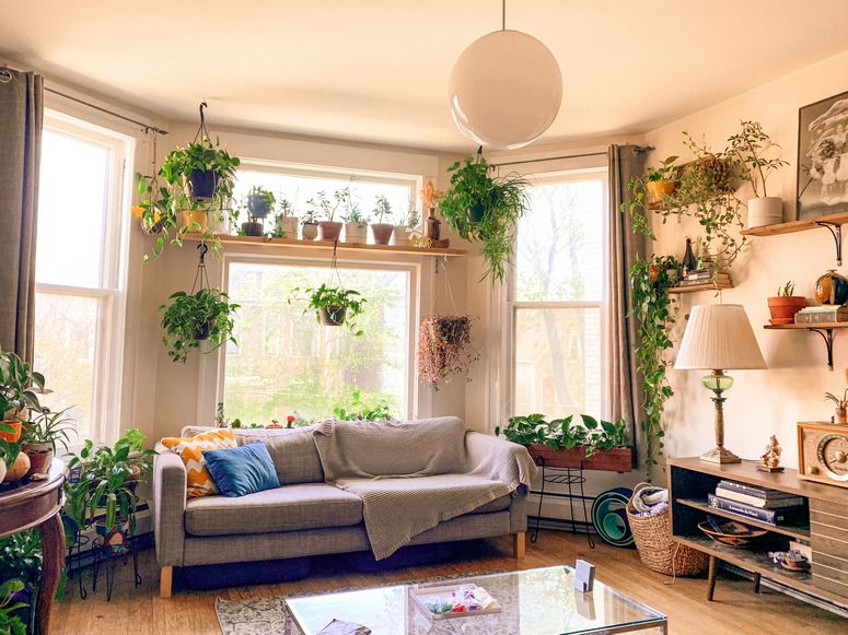 Une décoration intérieure pleine de plantes